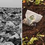 Assorted Compostable Zip Bags – 50 pcs